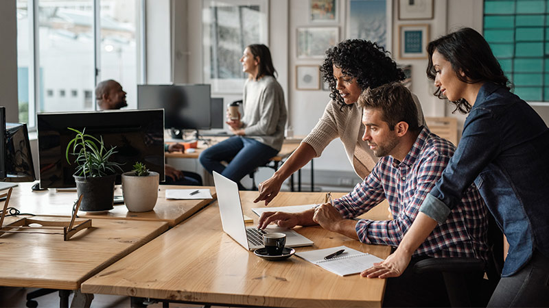 Đội ngũ marketing phối hợp triển khai chiến dịch PMP hiệu quả