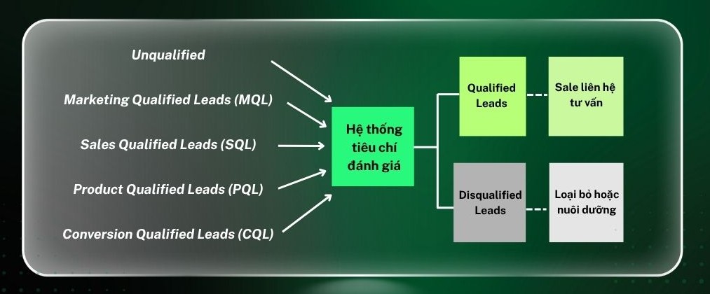 Minh họa một quy trình phân loại lead (Lead Qualification Process)