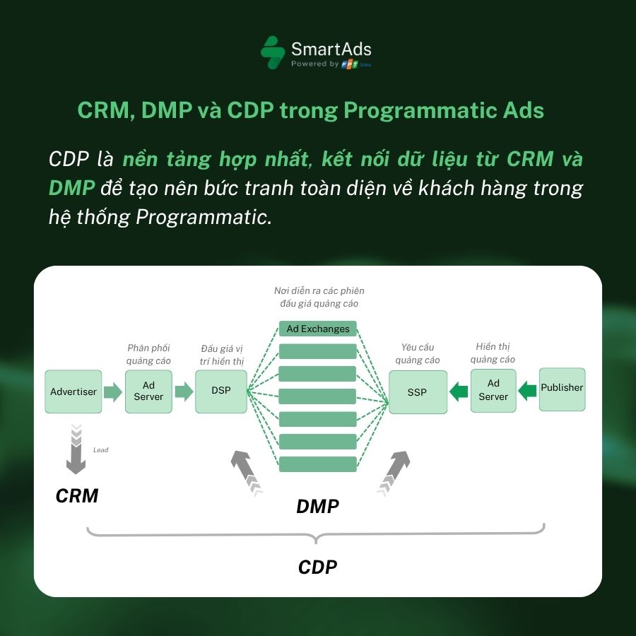 Three customer data management systems in the programmatic advertising value chain