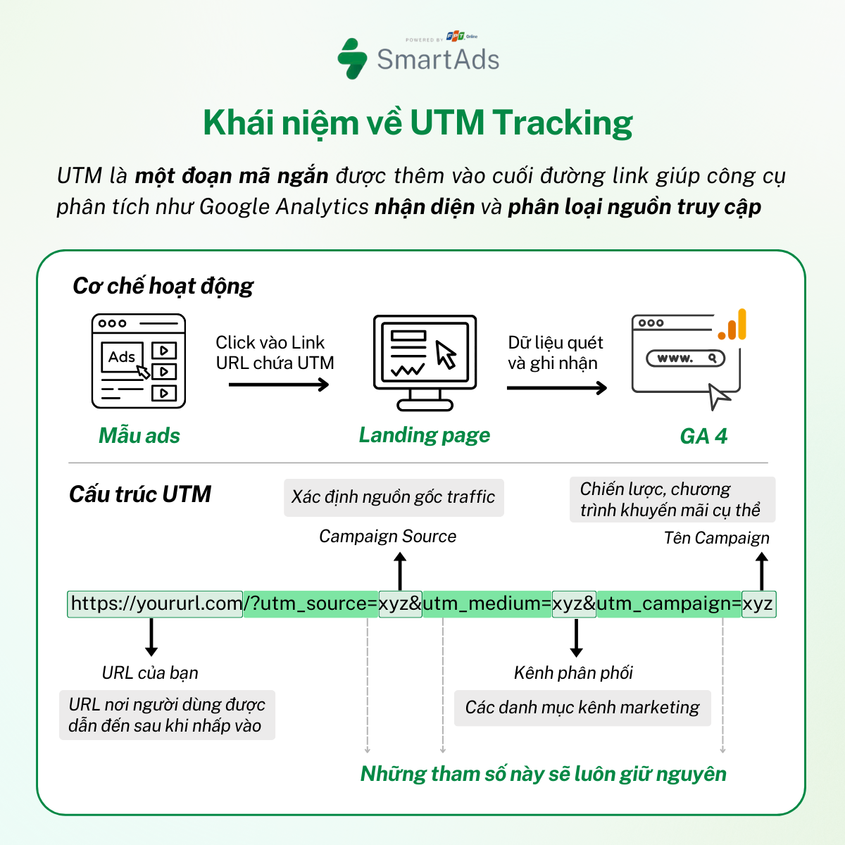 Cơ chế hoạt động và cấu trúc của UTM