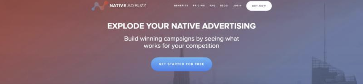 Nguồn ảnh: Native Advertising Institute (2025)