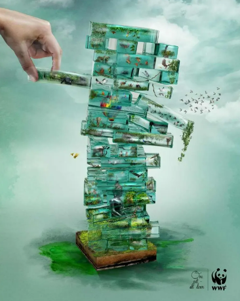 Hệ sinh thái được ví như tháp Jenga dễ sụp đổ khi mất một phần. (Nguồn: Penji)