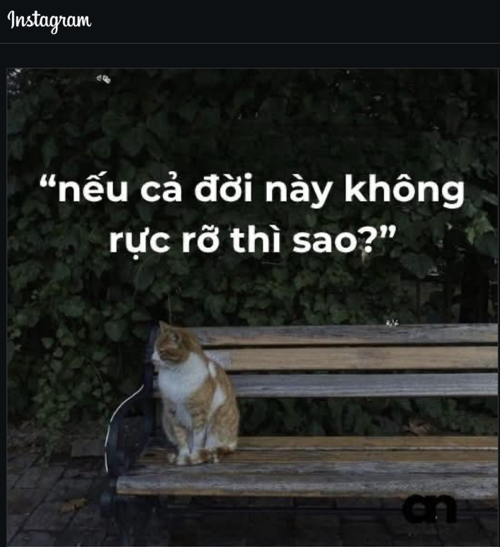 Hình ảnh minh hoạ về slang đang nổi: “Lỡ cả đời không rực rỡ thì sao…”. Nguồn: Instagram